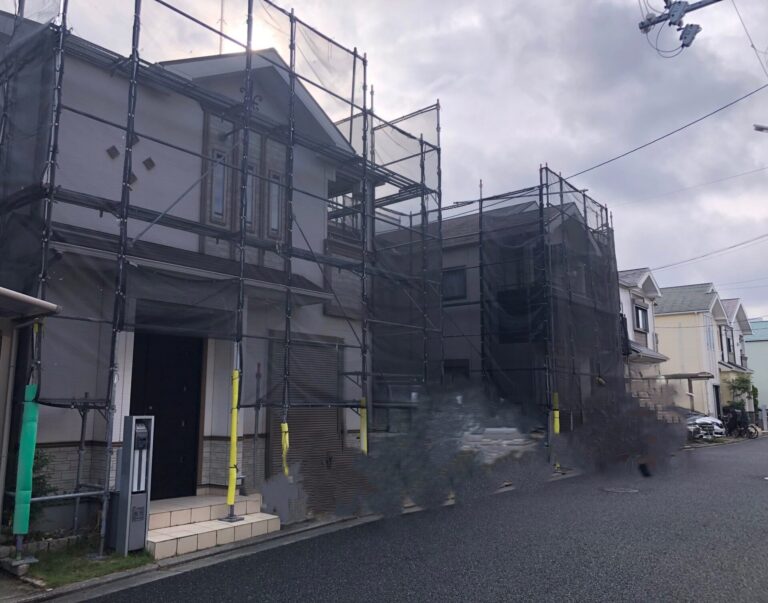 写真ギャラリー