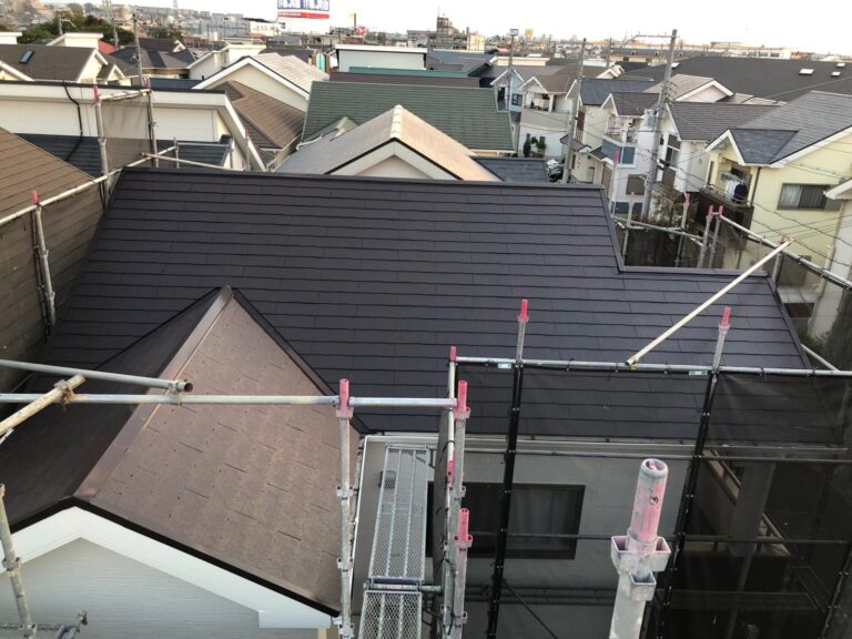 写真ギャラリー