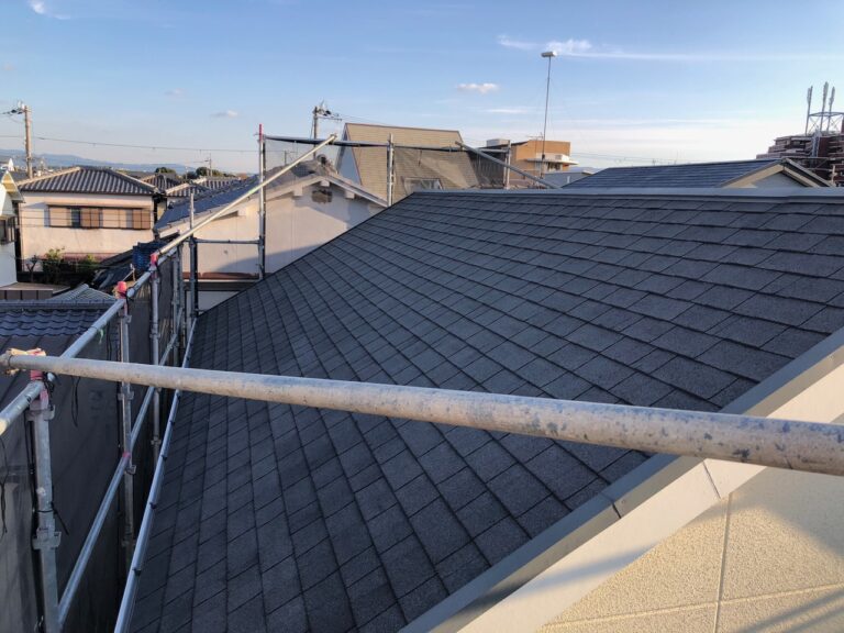 写真ギャラリー