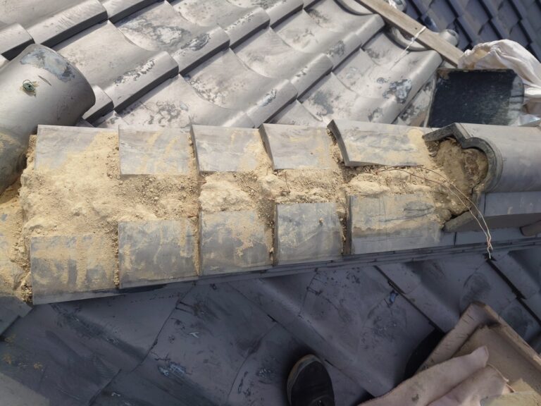 写真ギャラリー