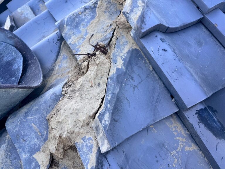 写真ギャラリー