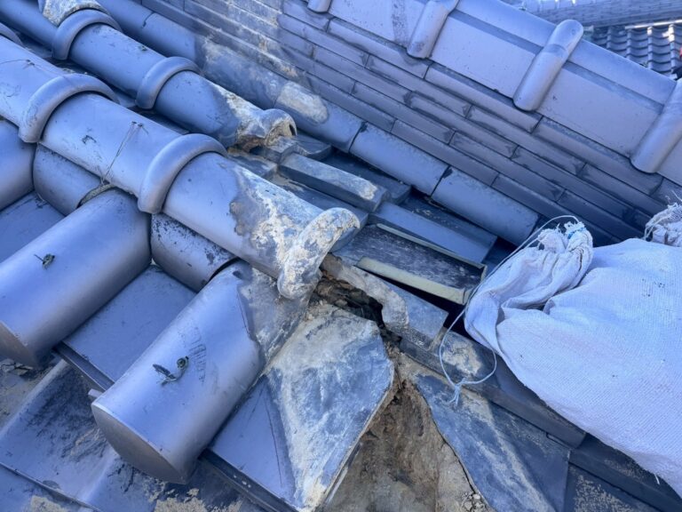 写真ギャラリー