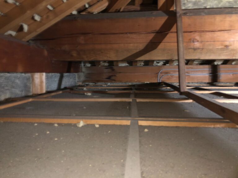 写真ギャラリー