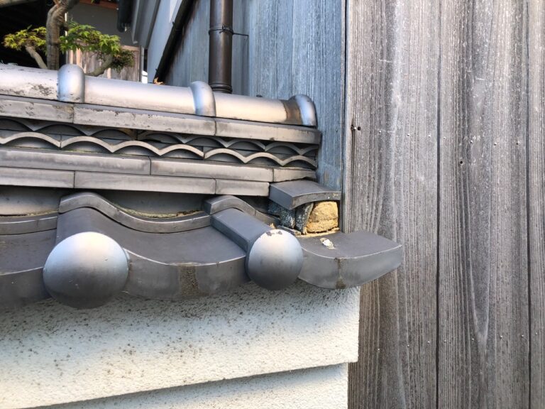 写真ギャラリー