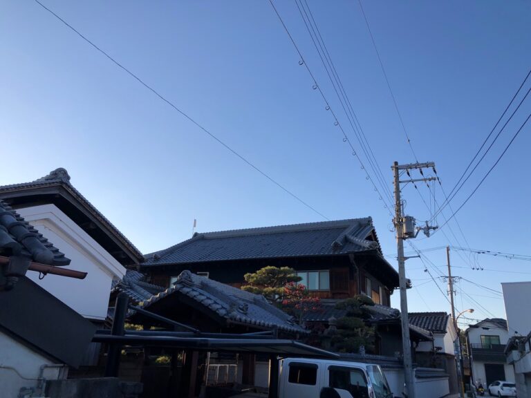 写真ギャラリー