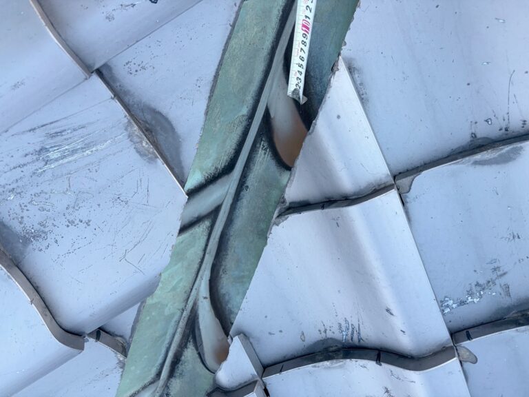 写真ギャラリー