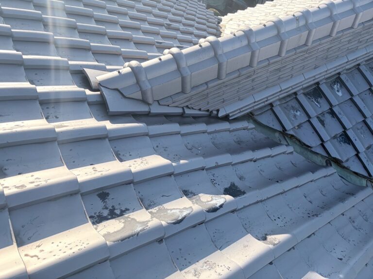 写真ギャラリー