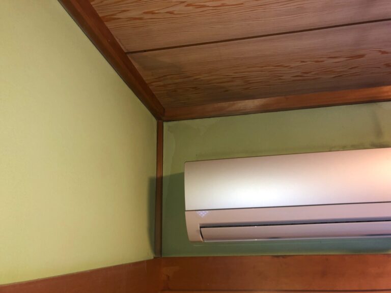 写真ギャラリー