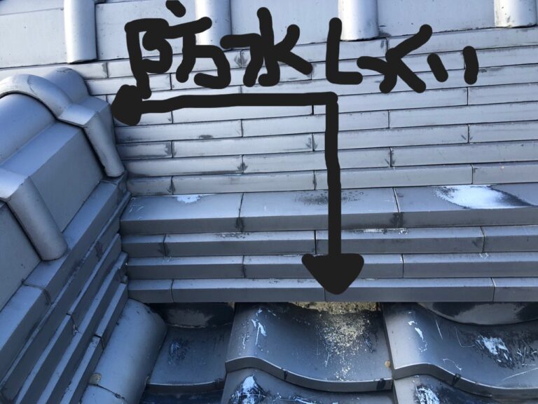 写真ギャラリー