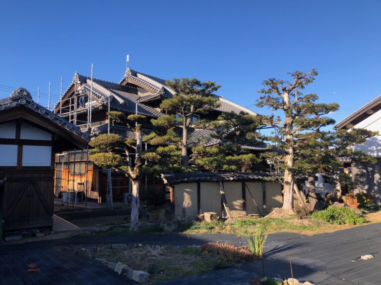 写真ギャラリー