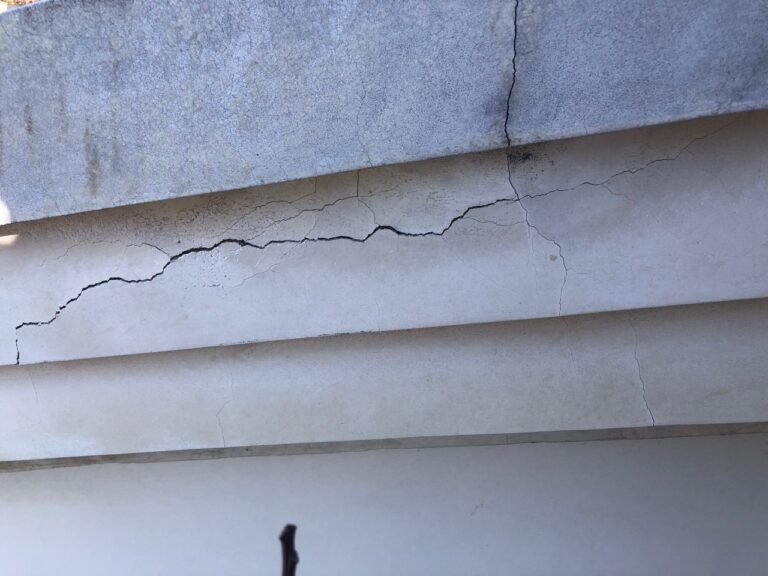 写真ギャラリー