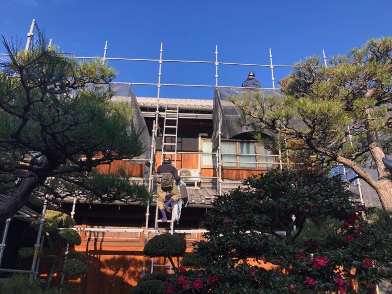 写真ギャラリー