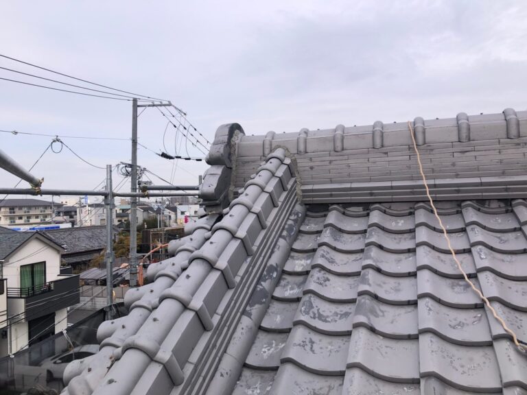 写真ギャラリー