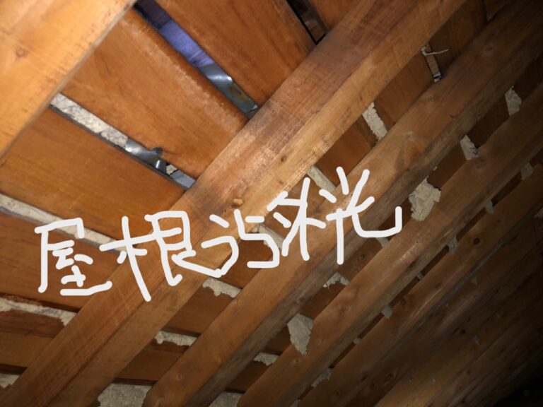 写真ギャラリー