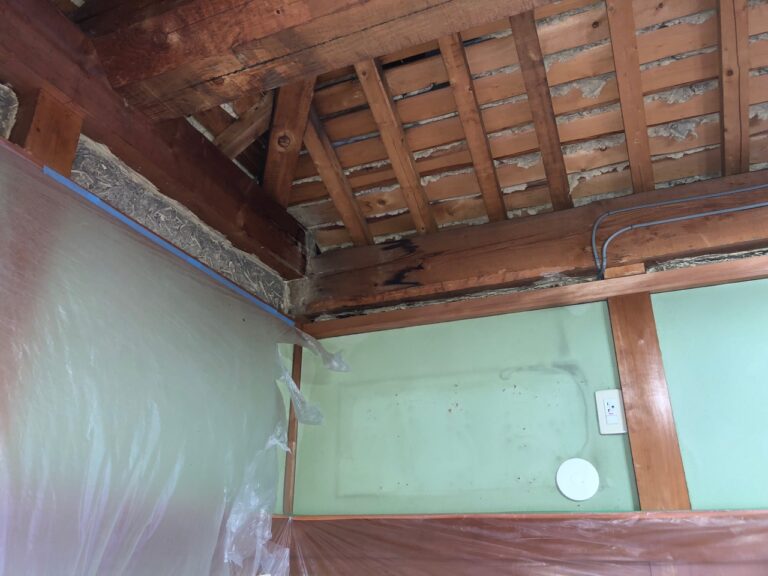 写真ギャラリー