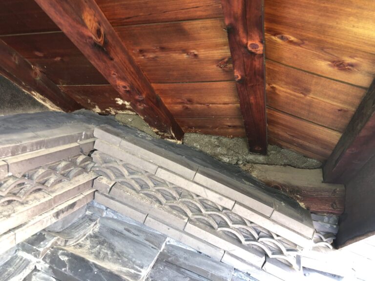 写真ギャラリー