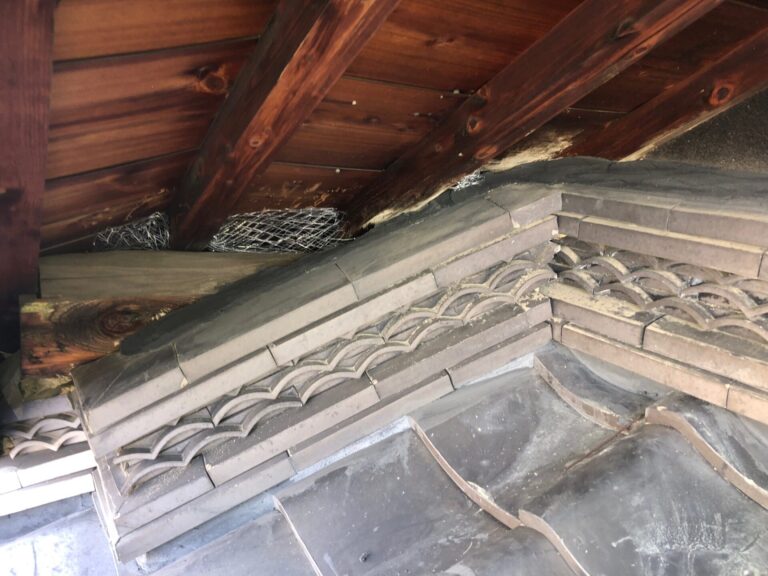 写真ギャラリー